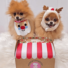 Load image into Gallery viewer, 24-Day Wagvent Calendar 40+ Treats