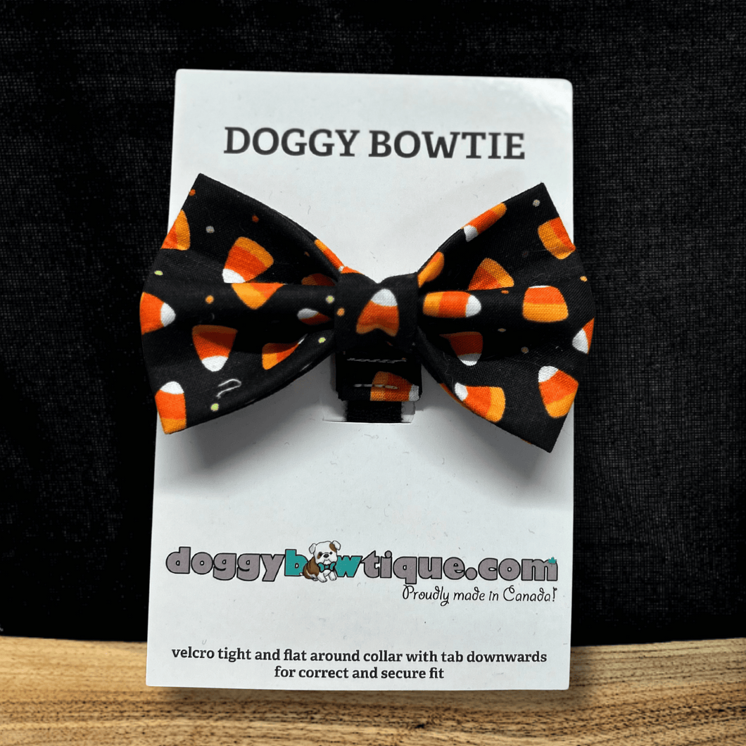 Bark-o-ween Bowtie - Blk/Org Candy Corn REG (MED/LRG)