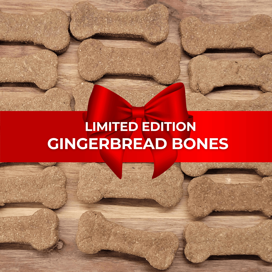 Holiday Gingerbread Bones (Limited Edition)