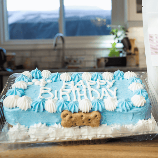 7" Bone-Shaped Birthday Cake
