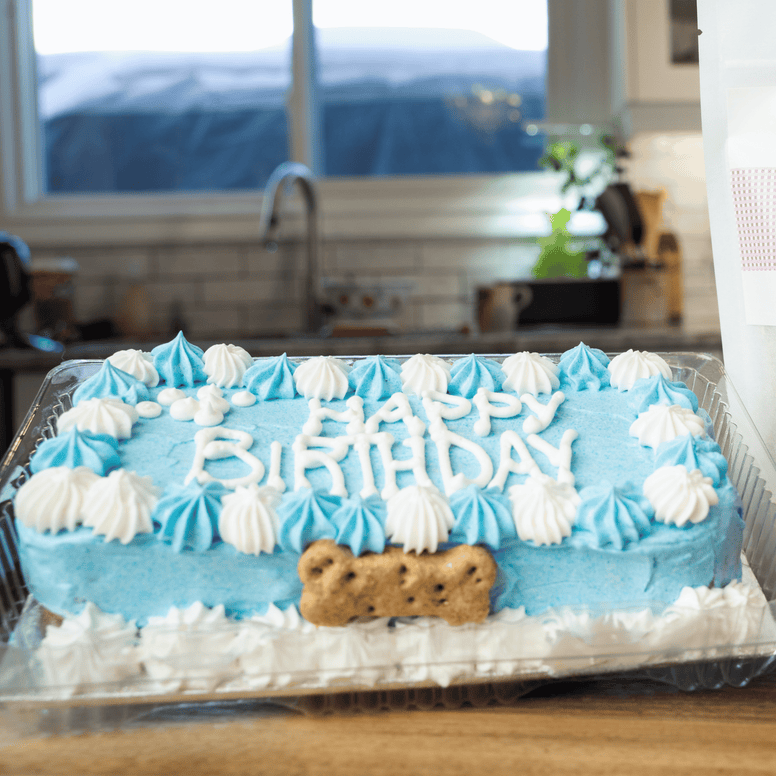 Bone shaped cupcake sales cake