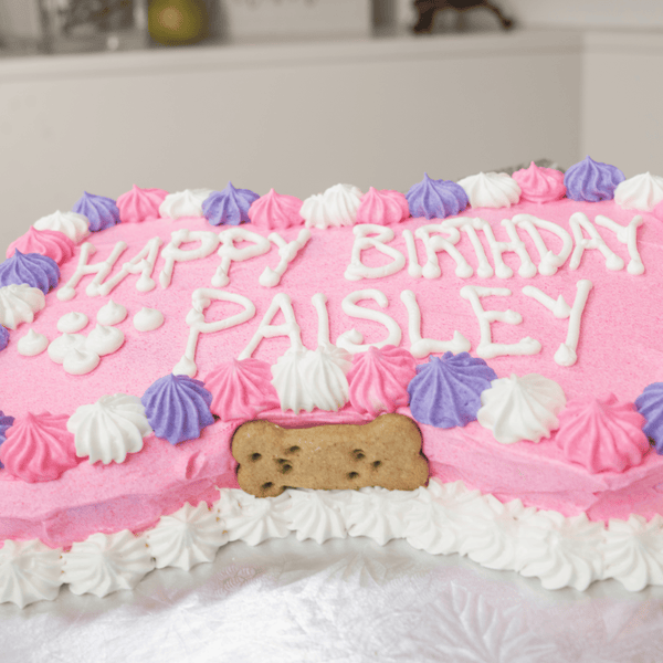 9" Bone-Shaped Birthday Cake