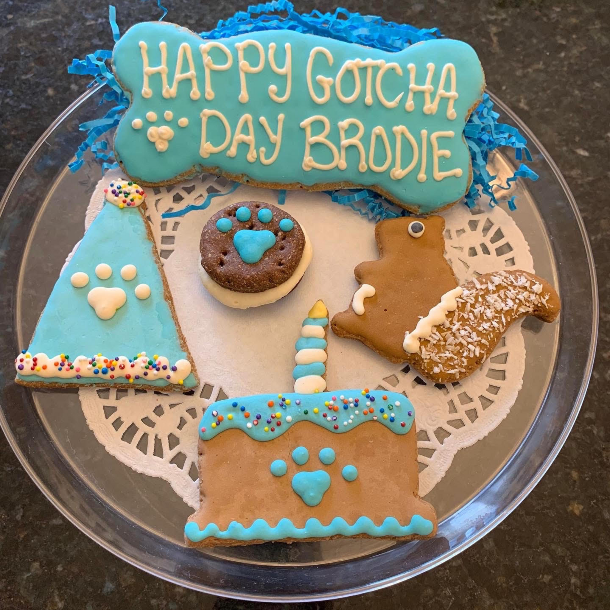 Gotcha day hotsell dog gifts