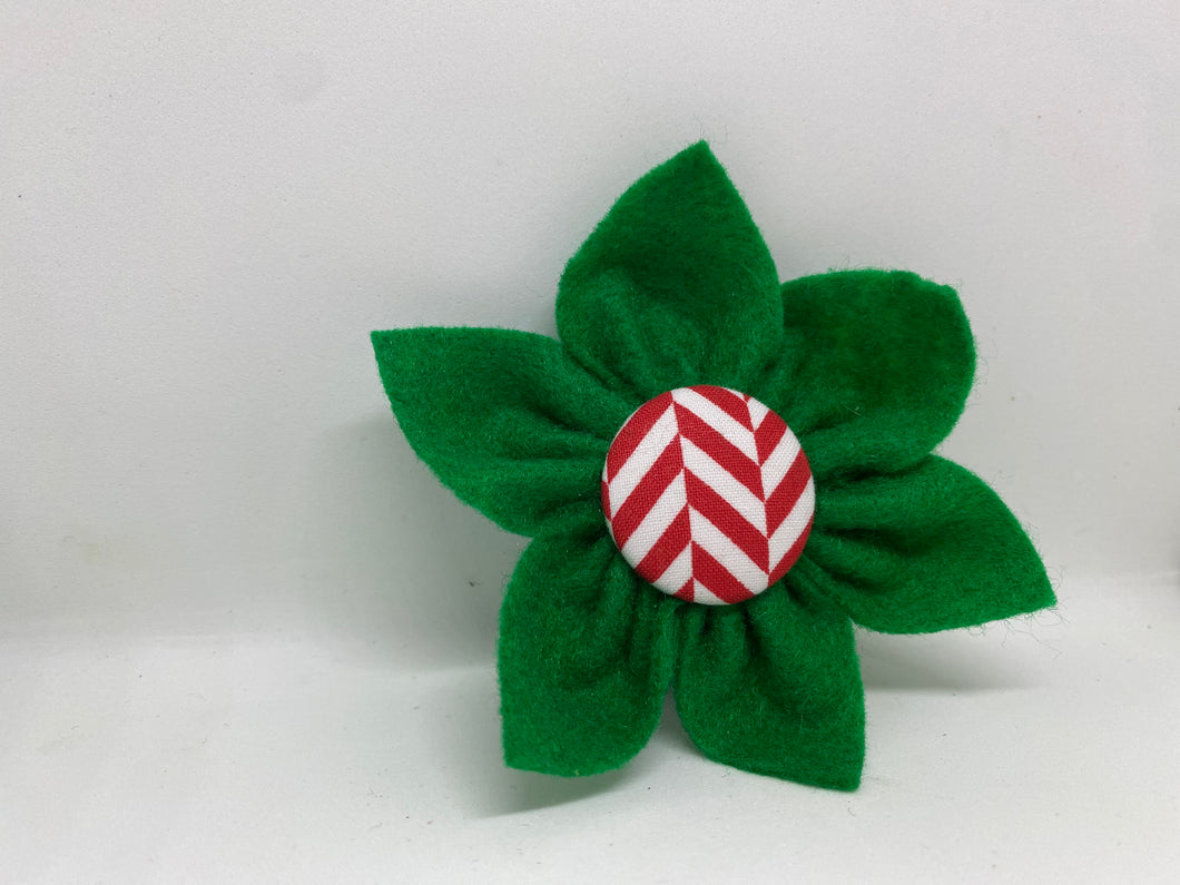 Green Candy Cane Puppy Petal