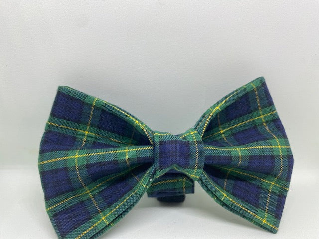 Blue and Green Bowtie