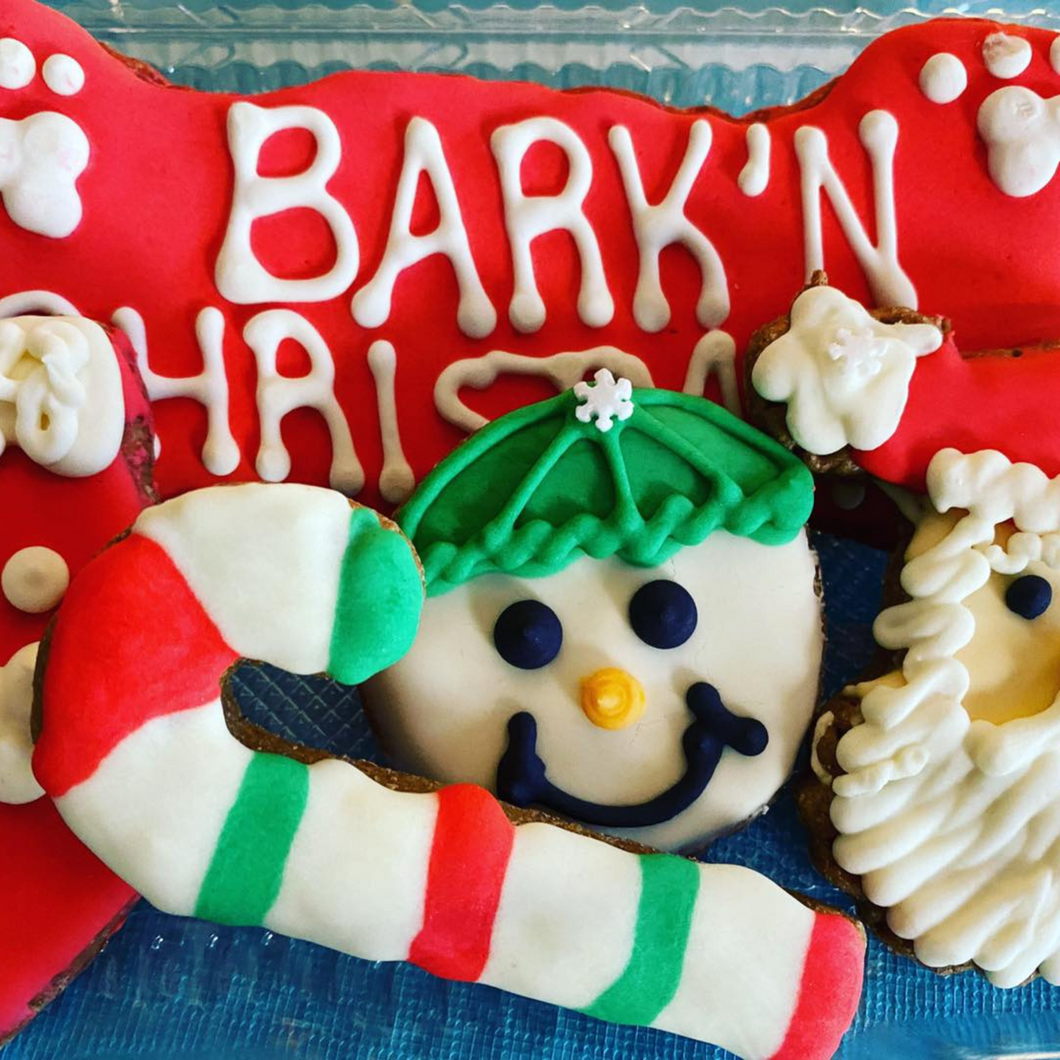 Pawliday Treat Box - Preorder Now!