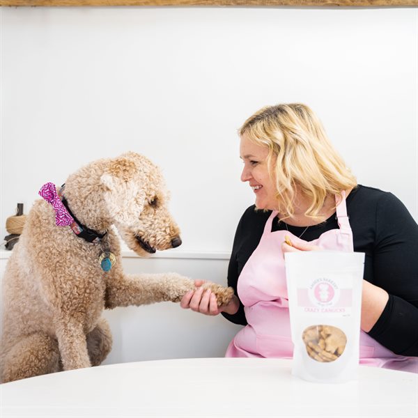 Amber shaking paws with Maizy, a golden doodle