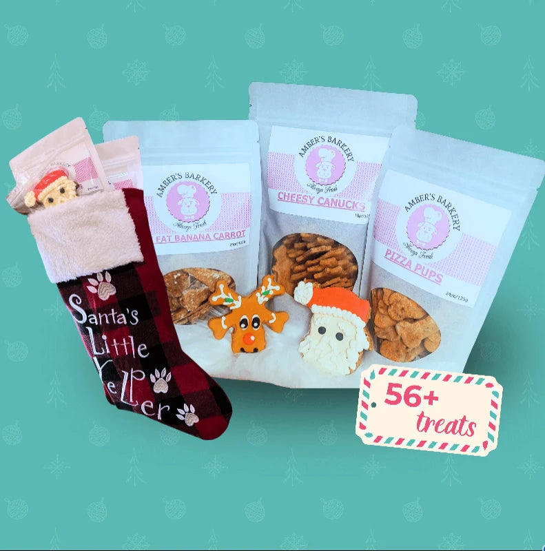 A dog treat stocking with three bags of treats and decorated Christmas cookies