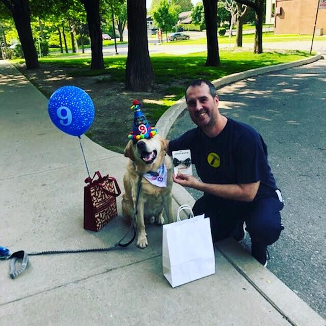 A golden dog in a party hat celebrating a 9th birthday with balloons